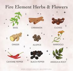 Herbs Of Aries, Eclectic Paganism, Magic Spices, Magick Correspondences, Fire Witchcraft, Fire Magick, Wiccan Tips, Banishing Negative Energy, Herb Healing