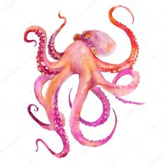 an octopus is painted in watercolor on a white background stock photo 547982