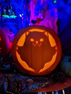 two pumpkins carved to look like cats with glowing eyes and an owl's head