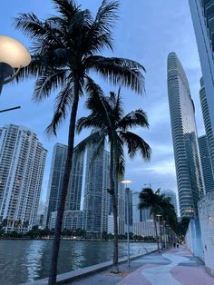 palm trees line the sidewalk in front of tall skyscrapers at dusk, near a body of water