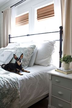 a dog laying on top of a white bed in a bedroom next to a window