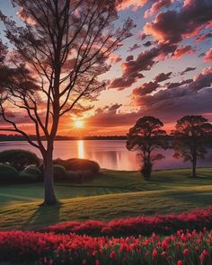 the sun is setting behind some trees and flowers in front of a body of water