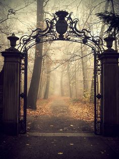 an iron gate in the middle of a forest