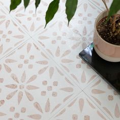 a potted plant sitting on top of a black table next to a white tiled floor