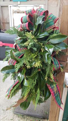 a large green plant with red and green bows