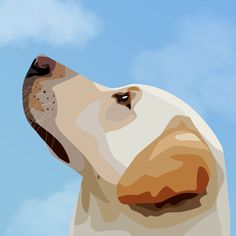 a dog's head is shown against a blue sky