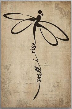 a drawing of a dragonfly with chinese writing on it's back and wings