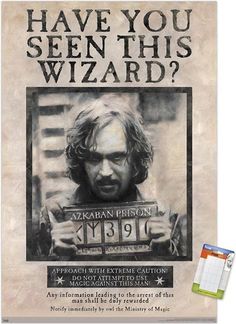 a wanted poster with the caption'have you seen this wizard? '