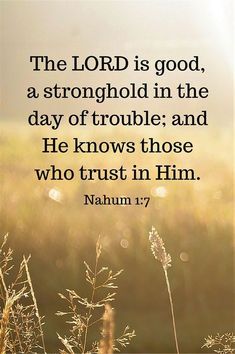 the lord is good, a strong god in the day of trouble and he knows those who trust him