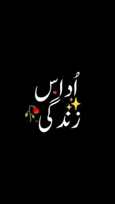 arabic calligraphy written in the dark with stars and flowers on it, as well as an