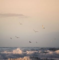 a flock of birds flying over the ocean