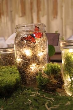 jars filled with moss and fairy lights sitting on top of a table covered in grass