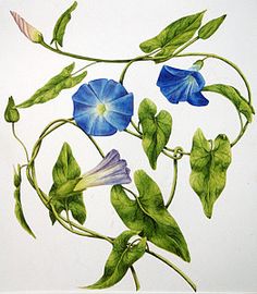 a painting of blue flowers and green leaves