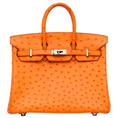 The Hermés Birkin bag embodies the quintessence of style and luxury due to its impeccable design, craftsmanship, and significance. That being said, it is the most iconic and desired piece from the Hermés handbag collection. Birkin Bag Orange, Hermes Closet, Orange Birkin, Most Expensive Bag, Ostrich Birkin, Orange Bags, Orange Purse, Orange Handbag, Expensive Bag