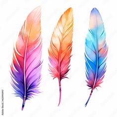 three colorful feathers on a white background with the words, watercolor feather clipart