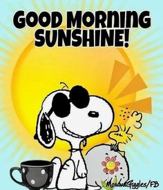 a cartoon dog with sunglasses sitting in front of a coffee cup and the words good morning sunshine