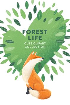 the forest life cute clipart collection