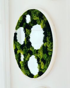 a circular mirror with green plants in the shape of four white circles on a wall