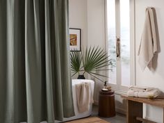 a bath room with a toilet and a plant