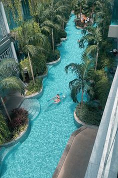 a person is swimming in a pool surrounded by palm trees and other greenery,