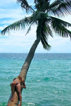 a woman sitting on top of a palm tree next to the ocean with blue water