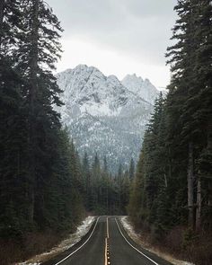 an empty road in the middle of some pine trees and snow covered mountains behind it