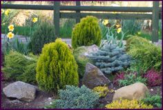 a garden filled with lots of different types of plants and rocks in front of a fence