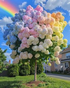 a rainbow in the sky over a tree with pink, yellow, and white flowers