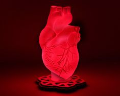 a red heart shaped vase sitting on top of a black base in front of a dark background