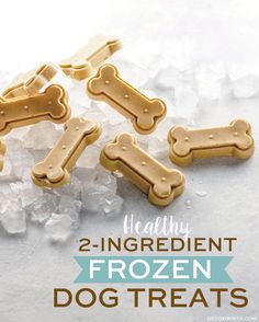 frozen dog treats with the words healthy 2 - ingredient frozen dog treats