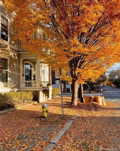 a fire hydrant sitting in front of a tree with orange leaves on the ground