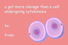 Bio Valentines Cards, Scientific Pick Up Lines, Valentines Day Gift Card Meme, Biology Valentines Cards, Cringey Valentines Cards, Biology Pickup Lines, Cringy Valentines Cards, Science Valentines Cards, Cursed Valentines Cards