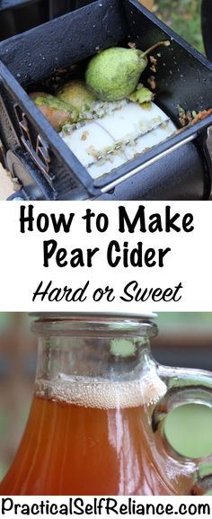 How to Make Pear Cider ~ Hard or Sweet ~ Homemade Perry Pear Cider Recipe, Hard Cider Recipe, Homemade Wine Recipes, Making Apple Cider, Mead Recipe, Pear Cider, Homemade Alcohol, Liquor Recipes, Fermentation Recipes