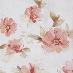 an image of pink flowers on white background