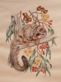 a painting of an animal on a branch with flowers and leaves in the foreground