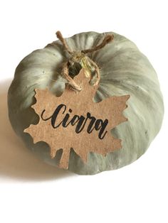 a small green pumpkin with a wooden name tag on it's side, sitting against a white background