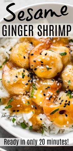 a white bowl filled with rice and shrimp