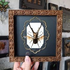 a person holding up a frame with a bug on it