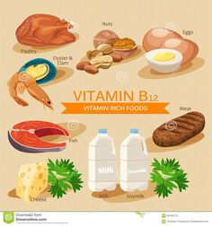 Illustration about Vitamin B12. Vitamins and minerals foods. Vector flat icons graphic design. Illustration of banner, health, healthy - 65194773 Icons Graphic Design, Graphic Design Banner, B12 Deficiency Symptoms, Mineral Food, Food For Health, Vitamin Rich Foods, Thyroid Recipes