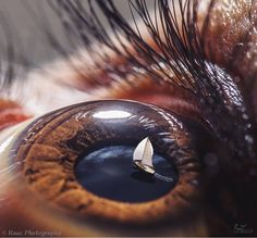 an extreme close up shot of the iris of a cat's eye with a tiny sailboat on it