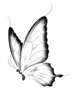 a black and white butterfly flying in the air