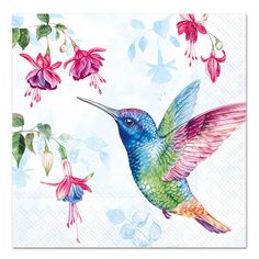 a colorful hummingbird and fuchsia flowers on a blue background with white paper napkins