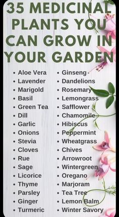 a sign with flowers on it that says 35 medical plants you can grow in your garden