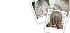 Grijs haar kleuren met highlights | Wella Professionals Gray Coverage, Cover Gray, Hair Highlights, Highlights, Grey, Hair