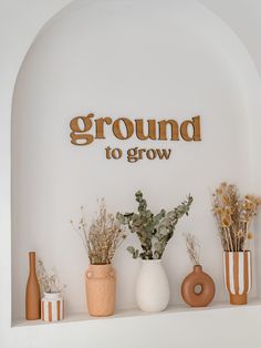 there are many vases and plants on the shelf in front of the sign that says ground to grow