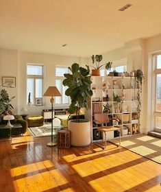 a living room filled with furniture and lots of windows next to a wooden floor covered in potted plants