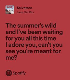 a red poster with the words,'the summer's wild and i've been waiting for you all this time i adore you, can't you, can't see you see you?