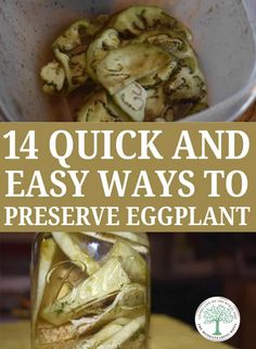 Eggplant Preservation, Preserve Eggplant, Eggplant Ideas, Preserving Eggplant, Canning Eggplant, Freezing Eggplant, Fruit Preservation, Pickled Eggplant, Preserving Vegetables