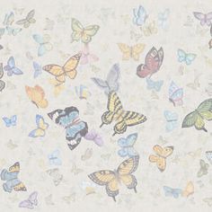 a group of colorful butterflies flying through the air on a white wallpapered background