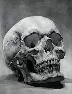 a black and white drawing of a human skull